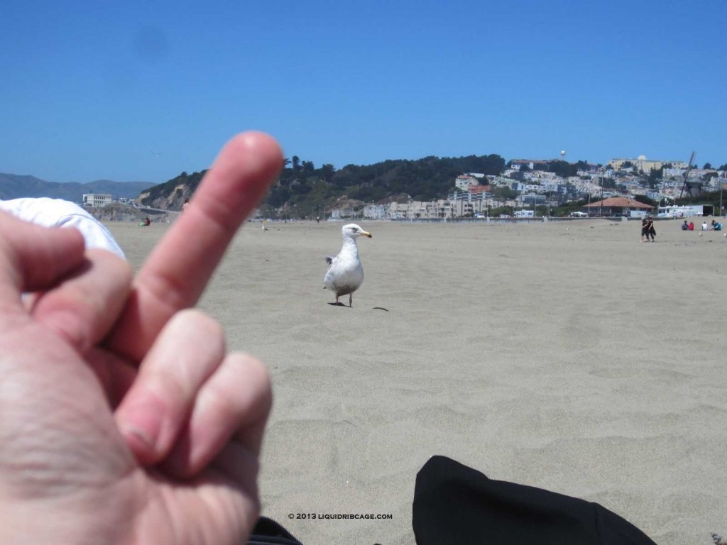 Finger Seagull